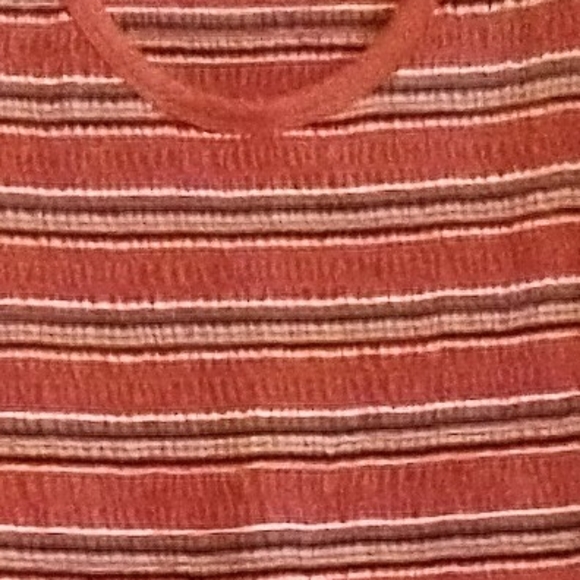 Wild Fable Elastic Stripe Women's Crop Top EUC plus size 3x rust/ burnt orange - Picture 5 of 5